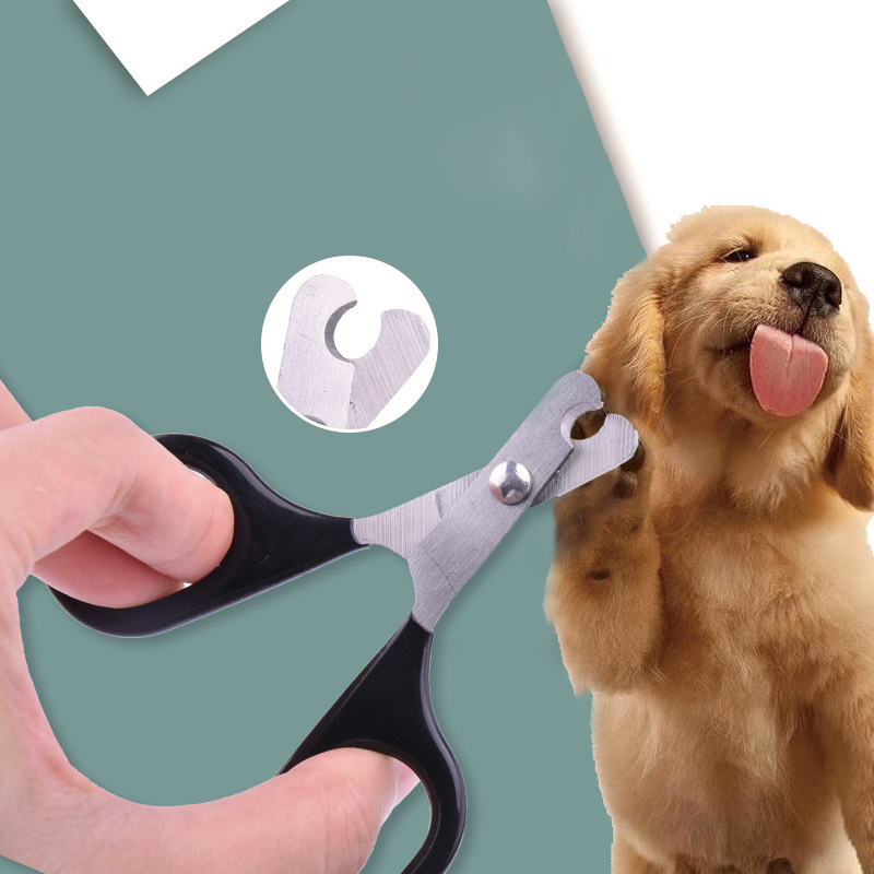 professional dog nail clippers for thick nails