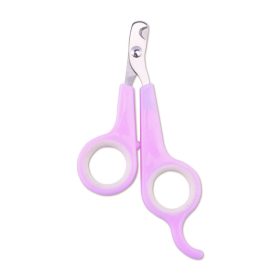 Best Nail Cutter for Cats