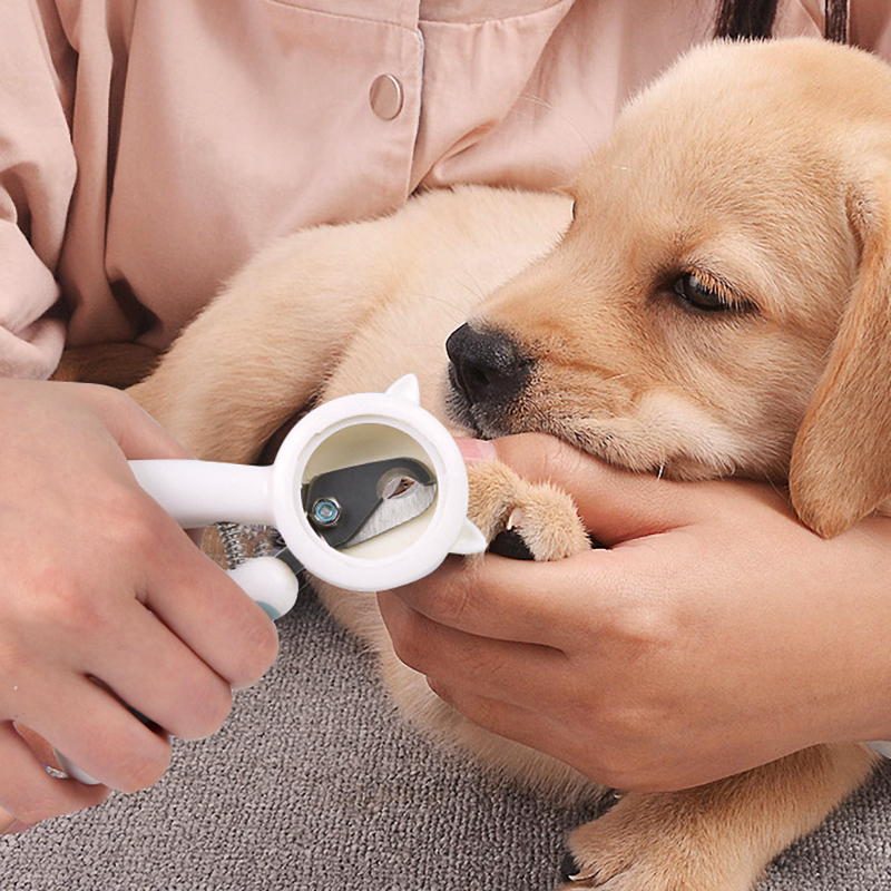 nail trimmer for dogs with black nails