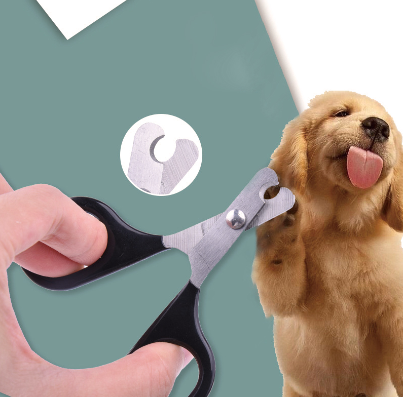 pet nail clippers for dogs